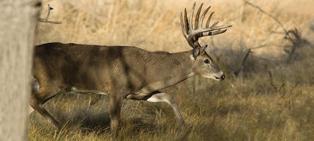 KWPT Commission Big Game Permits Awarded
