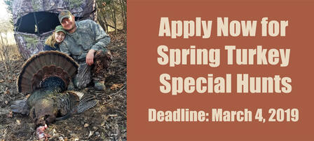 Spring Turkey Special Hunts Application Open