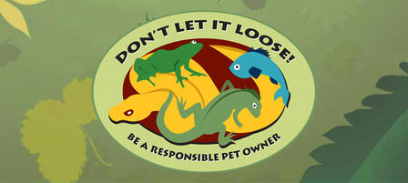Please Don’t Release Unwanted Pets Into The Wild